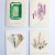 Katie Gastley (Rocket Ink, Brooklyn), gems & minerals cards and framed illustrations, 2013