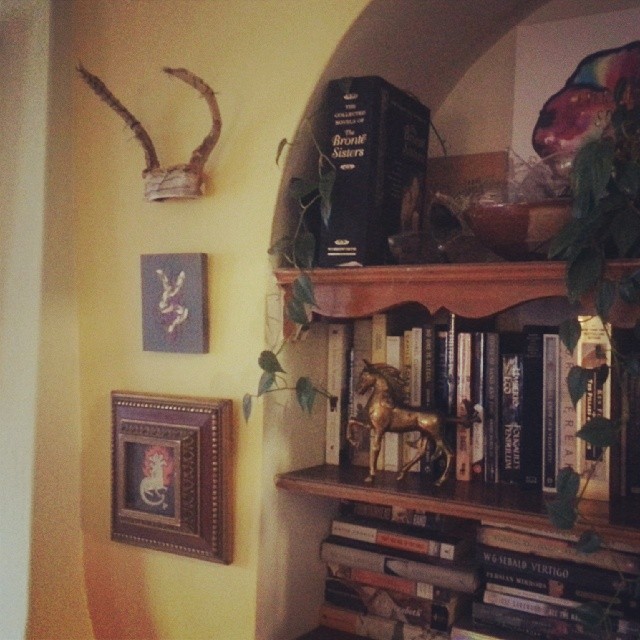I like my Steilers, Molenkamps and Joldersmas all together. #artinthehome #mixedmedia #seattle #antlers #paintings #embroidery #books #plants #art #collecting